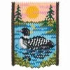 Herrschners Common Loon Pony Bead Kit 2 Herrschners Common Loon Pony Bead Kit -Handicraft Shop 043559 98756.1693398281